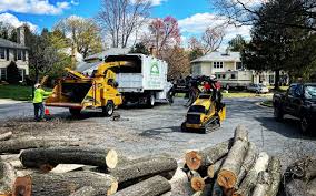 Mulching Services in Bear, DE